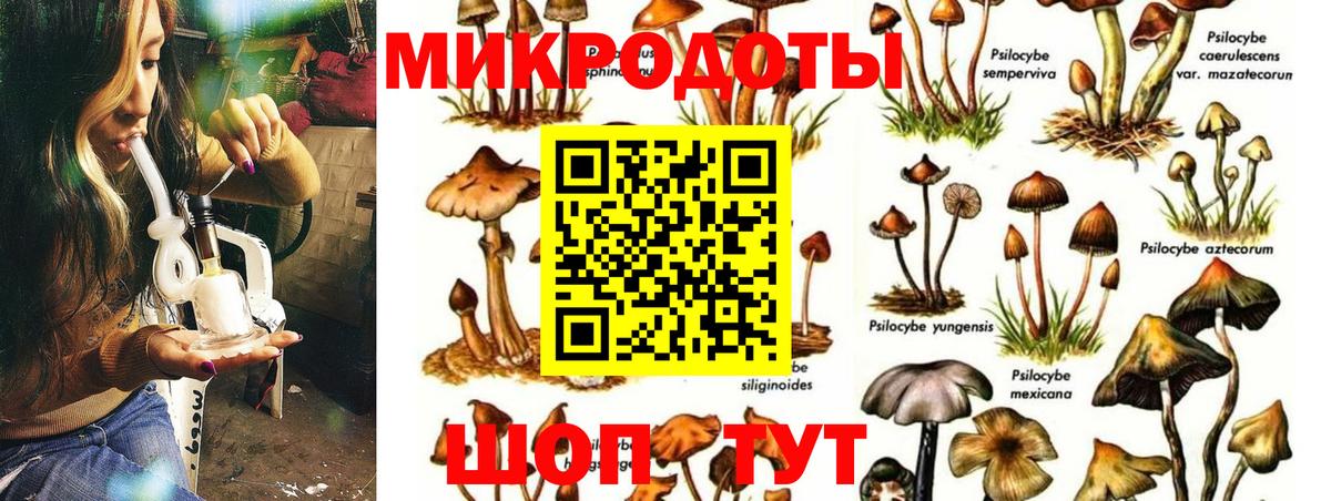 Псилоцибиновые грибы прущие грибы Черняховск